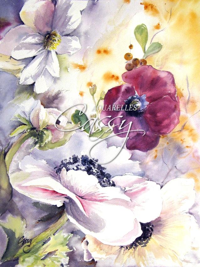 Anemones en folie 2017